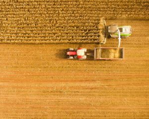 Transport Packaging Agricultural Packaging UK